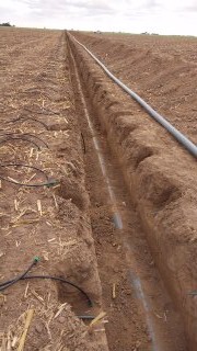 Demostración en campo